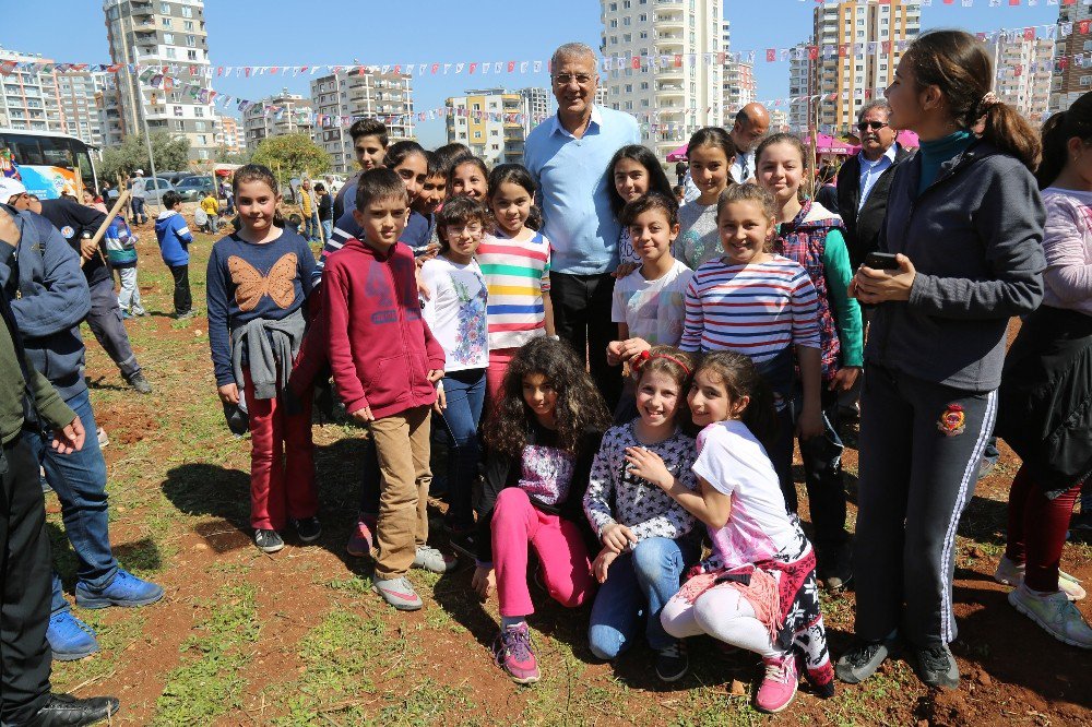 Mezitli’de Jakaranda Koruluğu 33’e Yükseldi