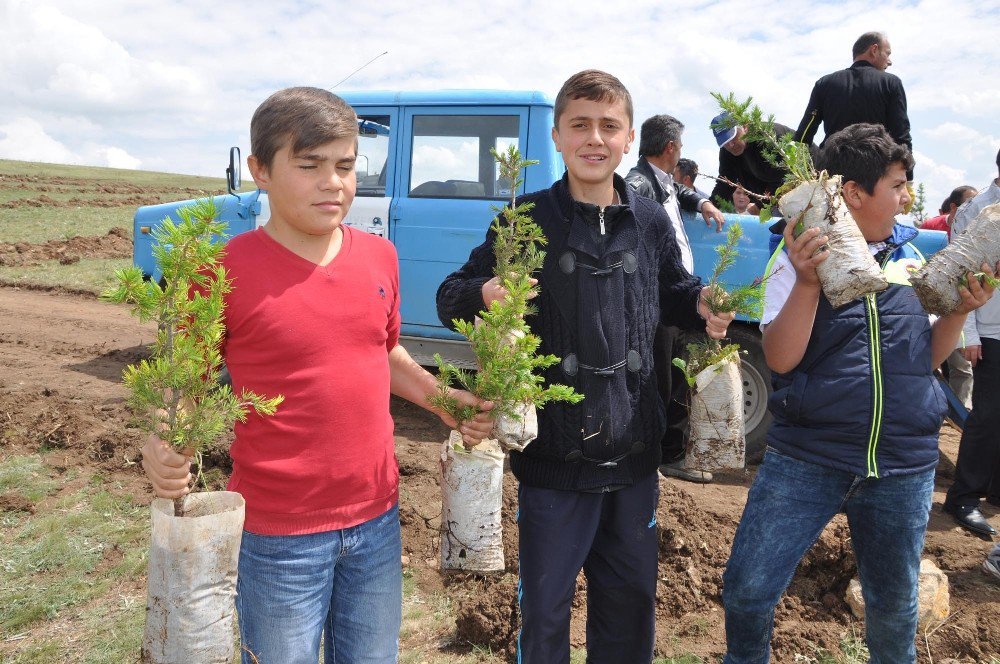 Sorgun’da Bin 500 Fidan Toprakla Buluştu