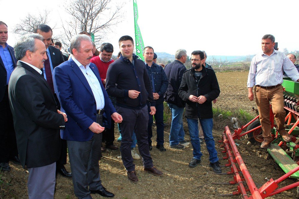 Sezonun İlk Kinoa Ekimi Tekirdağ’da Gerçekleştirildi