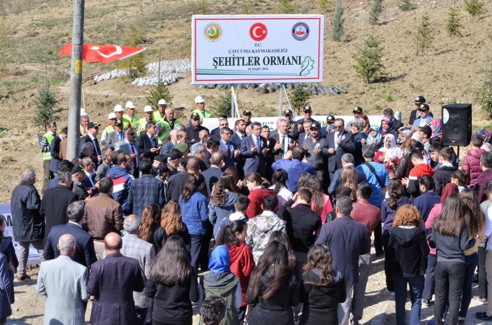 Çaycuma’da 15 Temmuz Demokrasi Şehitleri Hatıra Ormanı Oluşturuldu