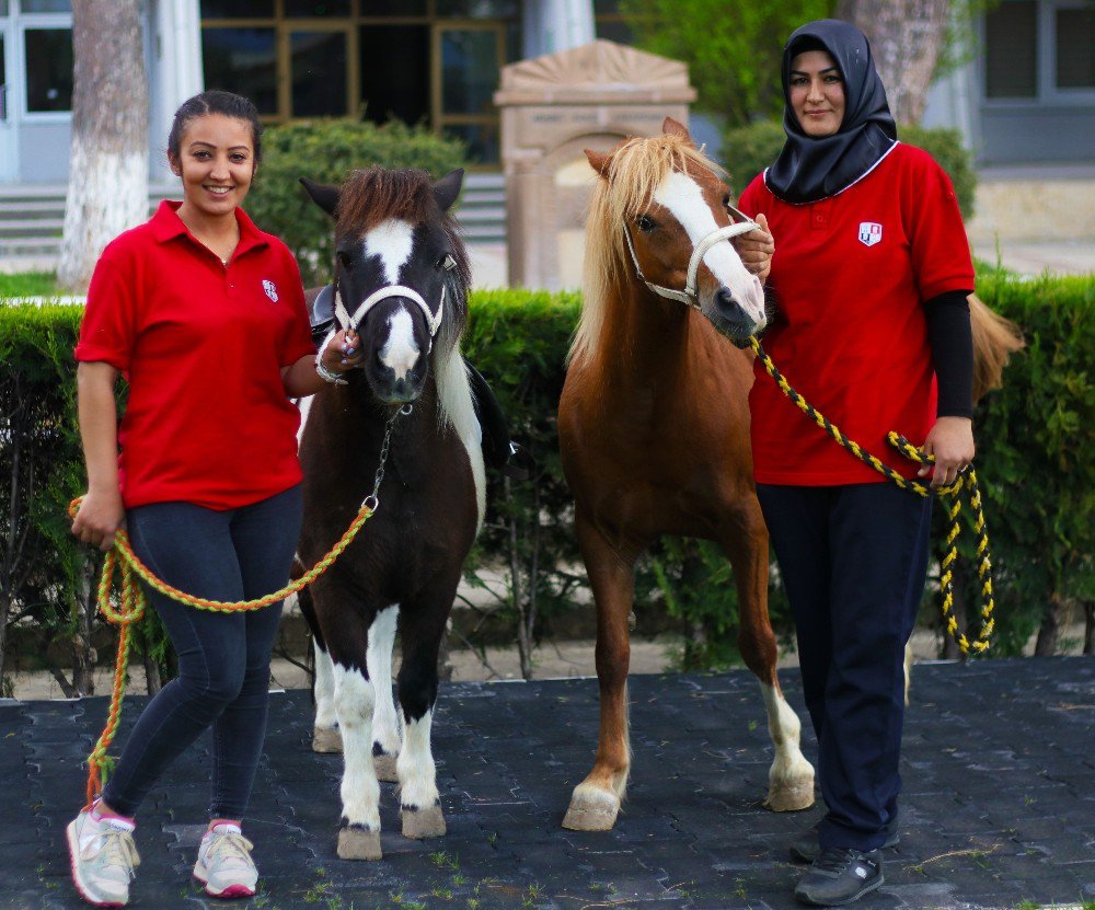 Atanamayan Anaokulu Öğretmeni Seyis Oldu