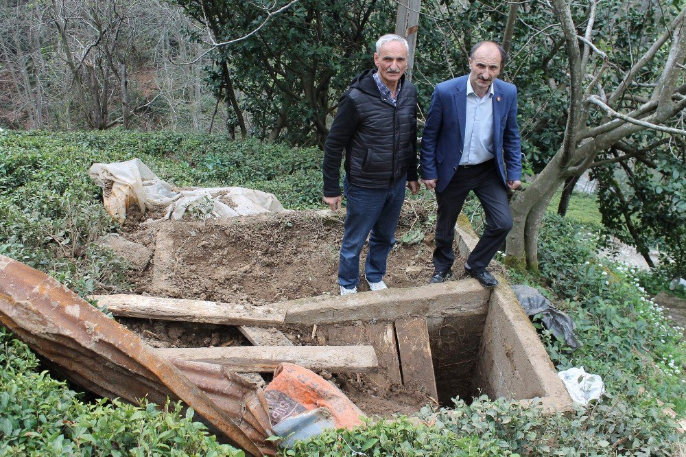 İkizdere’de Ayılar Mezarlara Dadandı