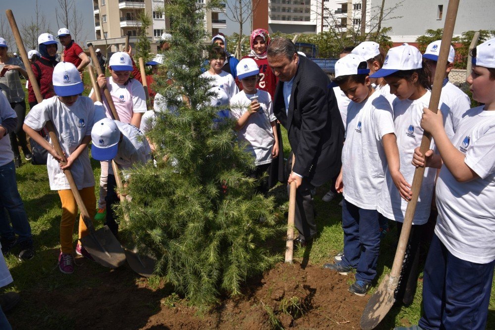 Başkan Çerçi Minik Bahçıvanlarla Fidan Dikti