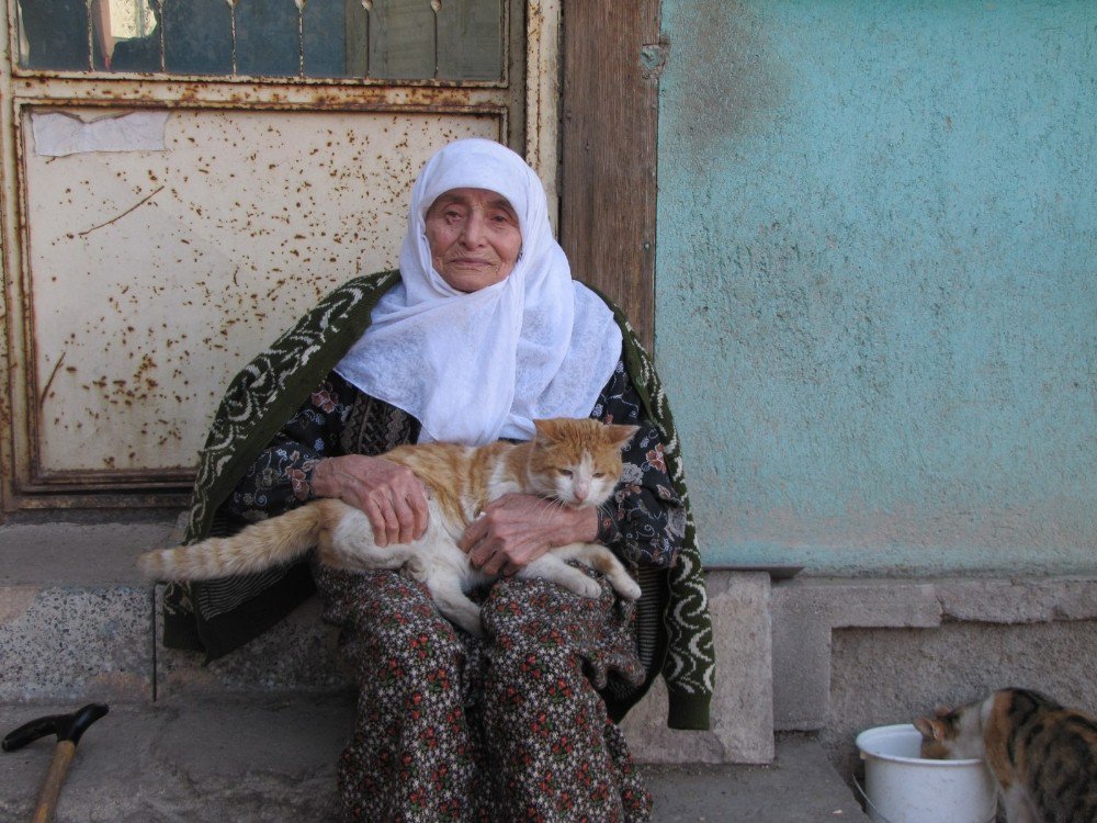 87 Yaşındaki Kadın, 30 Sokak Kedisine Bakıyor