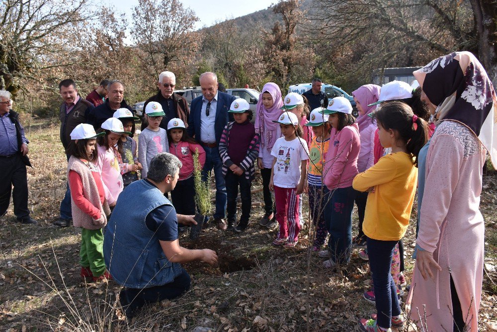 Dursurbey’de Öğrenciler Fidan Dikti