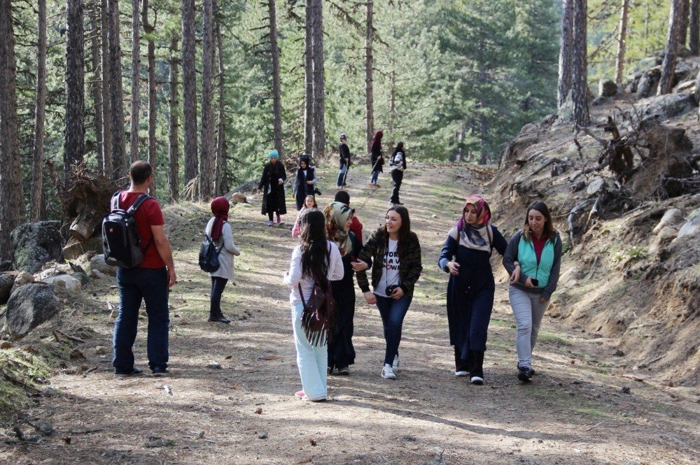 Fotoğrafçıların Gölet Ve Yangın Gözetleme Kulesi Gezisi