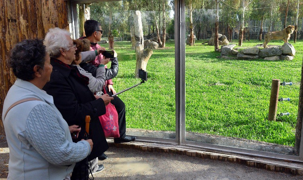 Büyükşehir’in Ücretsiz Kent Turları Yeniden Başlıyor