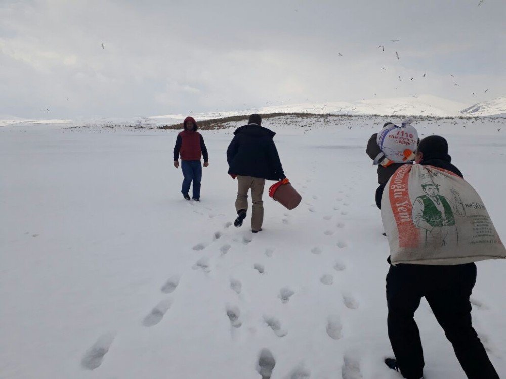 Kars’ta Kuşlara Yem Bırakıldı