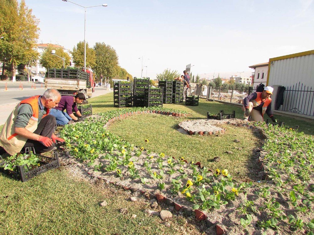 Malatya Çiçeklerle Renkleniyor