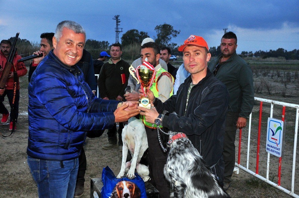 Manavgat’ta Av Köpekleri Kıyasıya Yarıştı