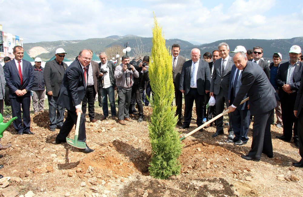 Muğla’da Ağaç Bayramı Etkinliği