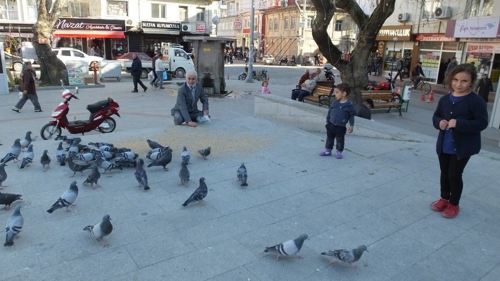 Burhaniye’de Güvercinler İlgi Odağı Oldu