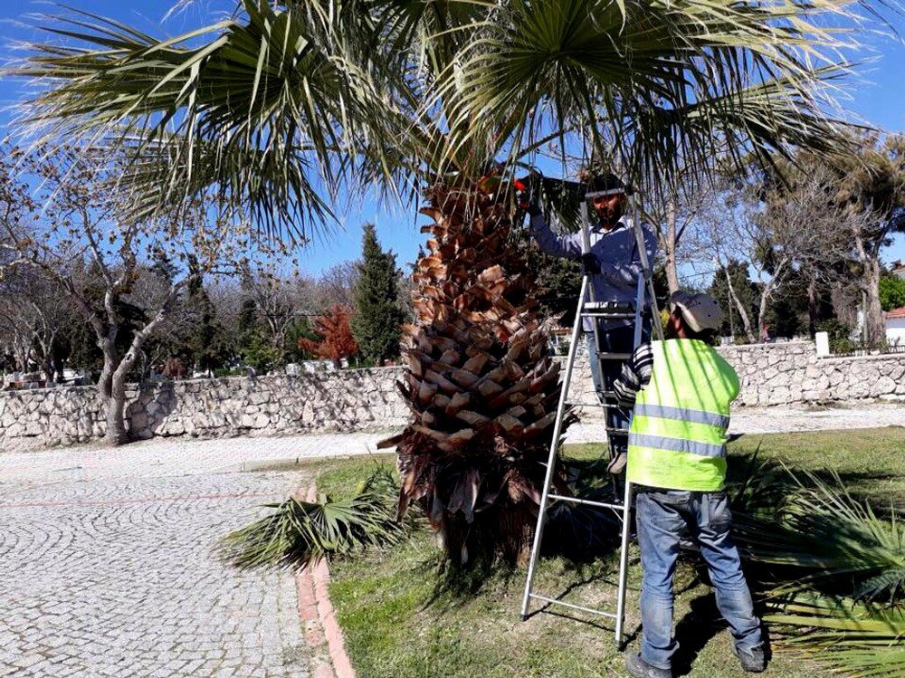 Alaçatı’da Ot Festivali Hazırlığı