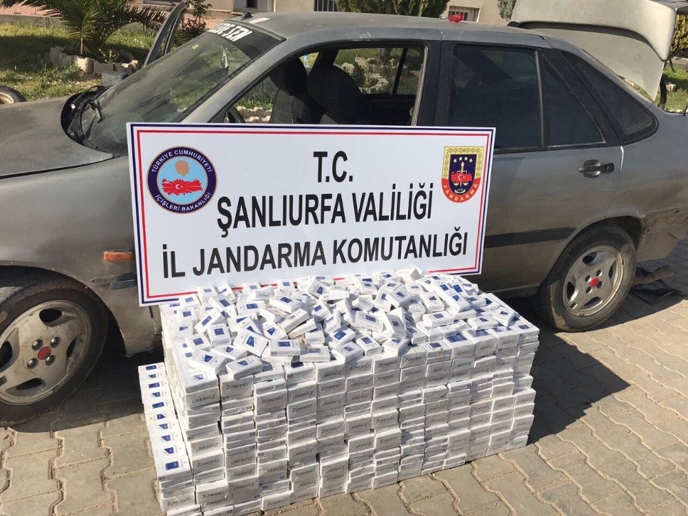 Şanlıurfa’da Kaçak Sigara Operasyonu: 10 Gözaltı