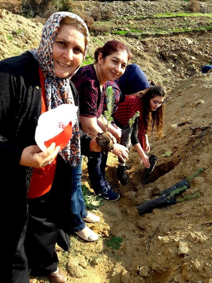 15 Temmuz Şehitleri Anısına Hatıra Ormanı