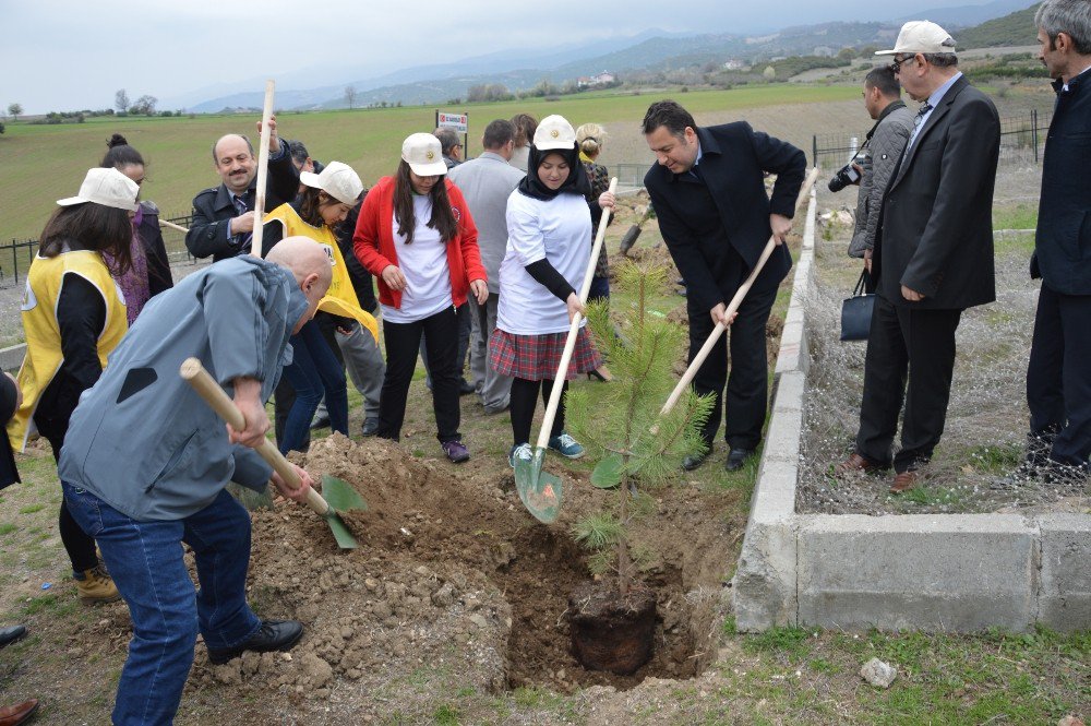 Niksar’da Fidan Dikme Etkinliği