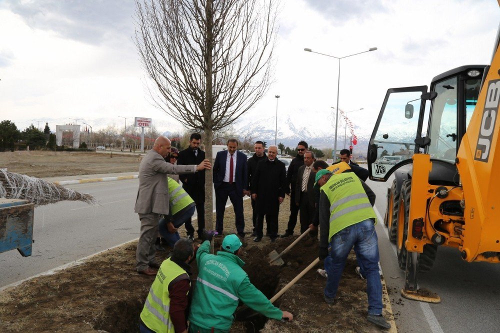 Erzincan Belediyesi Ağaçlandırma Çalışmalarına Devam Ediyor