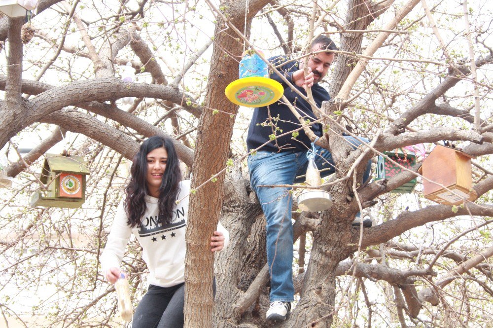 Anasınıfı Öğrencilerinden ‘Kuş Kafesi’ Projesi