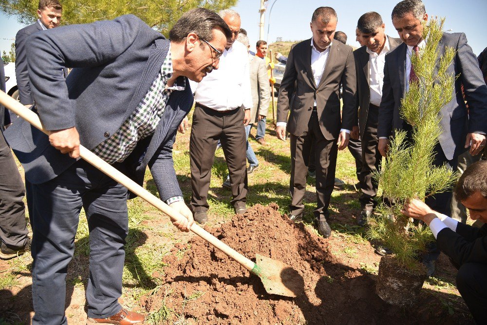 Başkan Atilla, 15 Temmuz Şehitleri Anısına Fidan Dikti