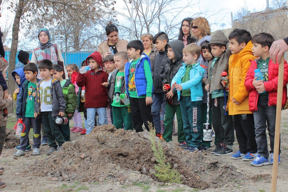 Elazığ’da Öğrenciler, Fidan Dikti