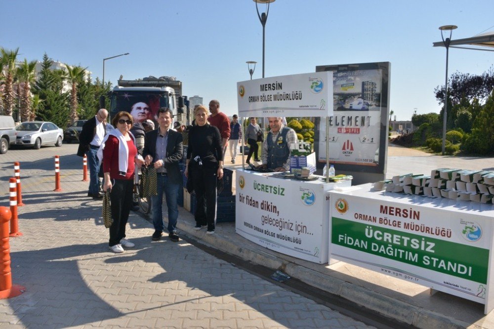 Yüzlerce Fidan Ücretsiz Dağıtıldı