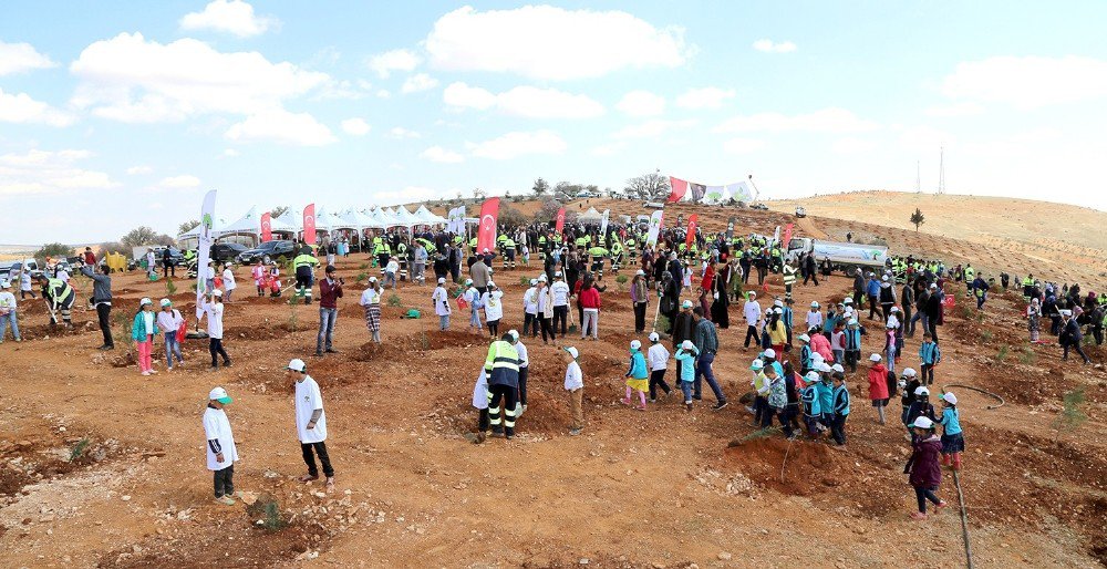 Şehitkamil İlçesinde "Bi Dünya Yeşil Orman" Projesiyle Yeni Ormanlar Kuruluyor