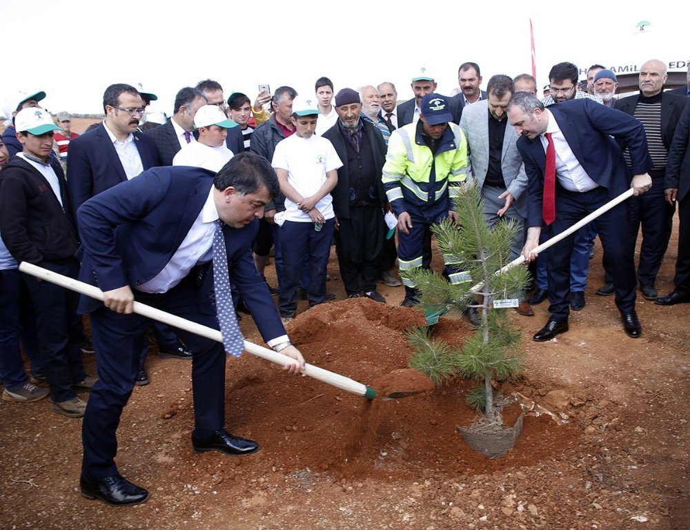 Şehitkamil İlçesinde "Bi Dünya Yeşil Orman" Projesiyle Yeni Ormanlar Kuruluyor