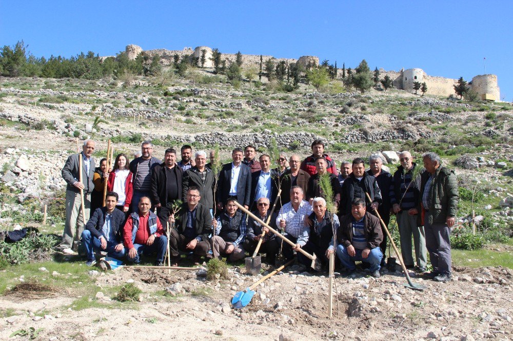 Silifke’de Mali Müşavirler Hatıra Ormanı Oluşturuldu