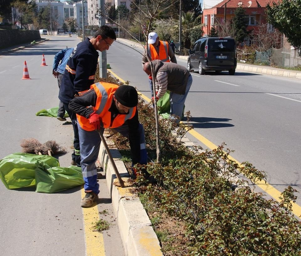 Akçakoca Belediyesi Bahar Çalışmalarına Başladı