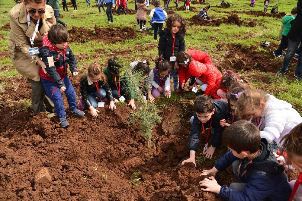 Diyarbakır’da Fidan Ekim Sezonu Minik Çocuklarla Açıldı