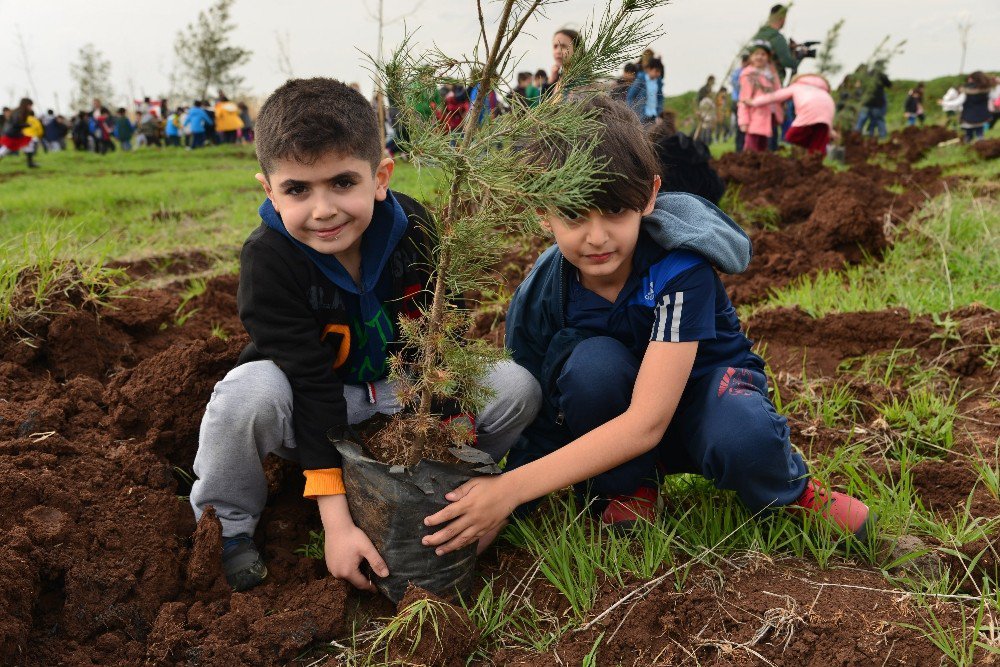 Diyarbakır’da Fidan Ekim Sezonu Minik Çocuklarla Açıldı