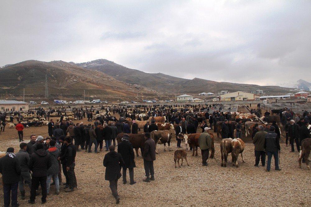 Vanlı Çiftçilerin ‘Et Fiyatı’ Tepkisi