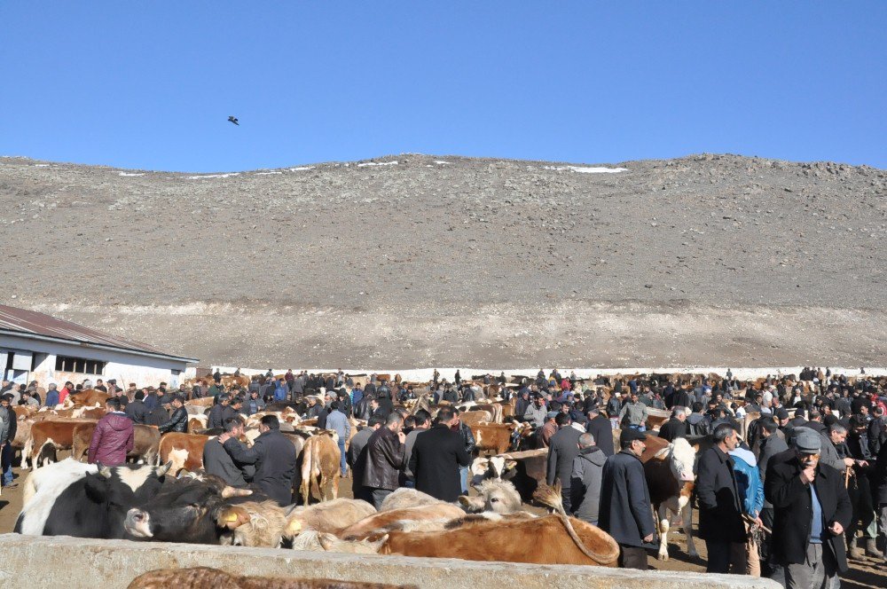 Karslı Hayvan Yetiştiricileri Denetim İstiyor