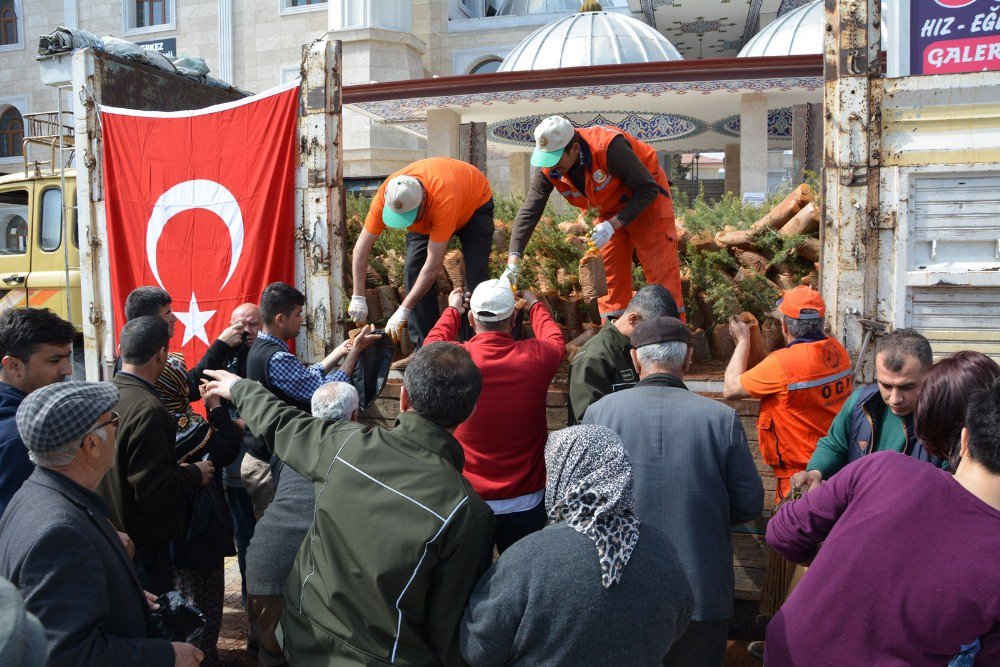 Korkuteli İlçesinde Ücretsiz Fidan Dağıtıldı