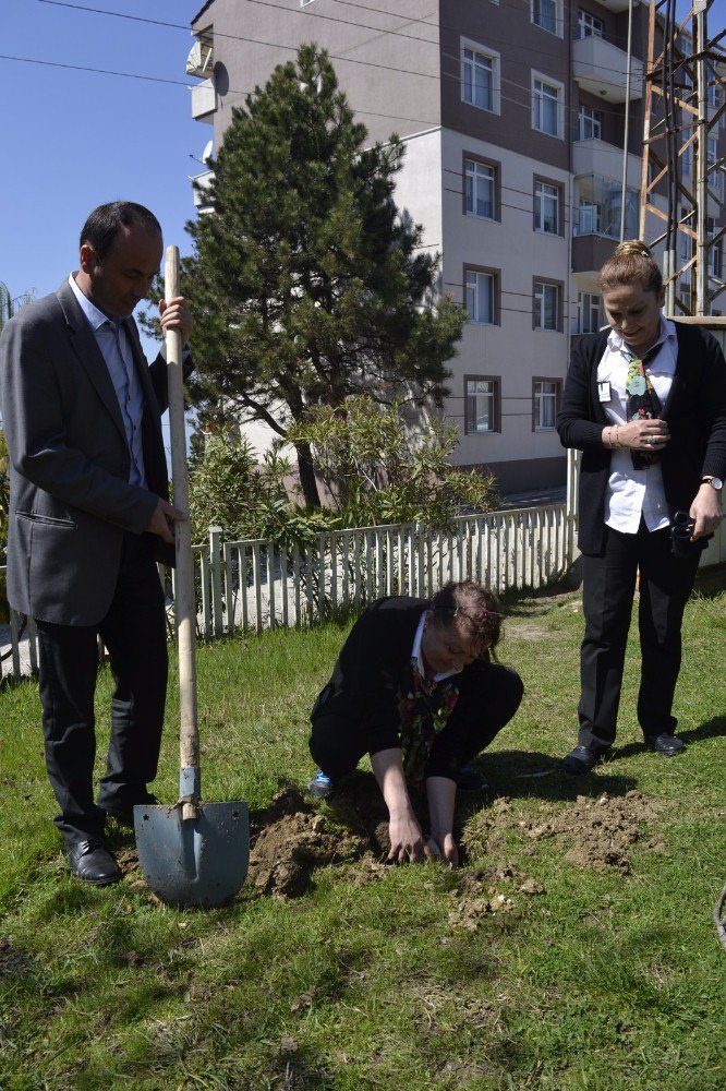 Öğrenciler Hastane Bahçesine Fidan Dikti