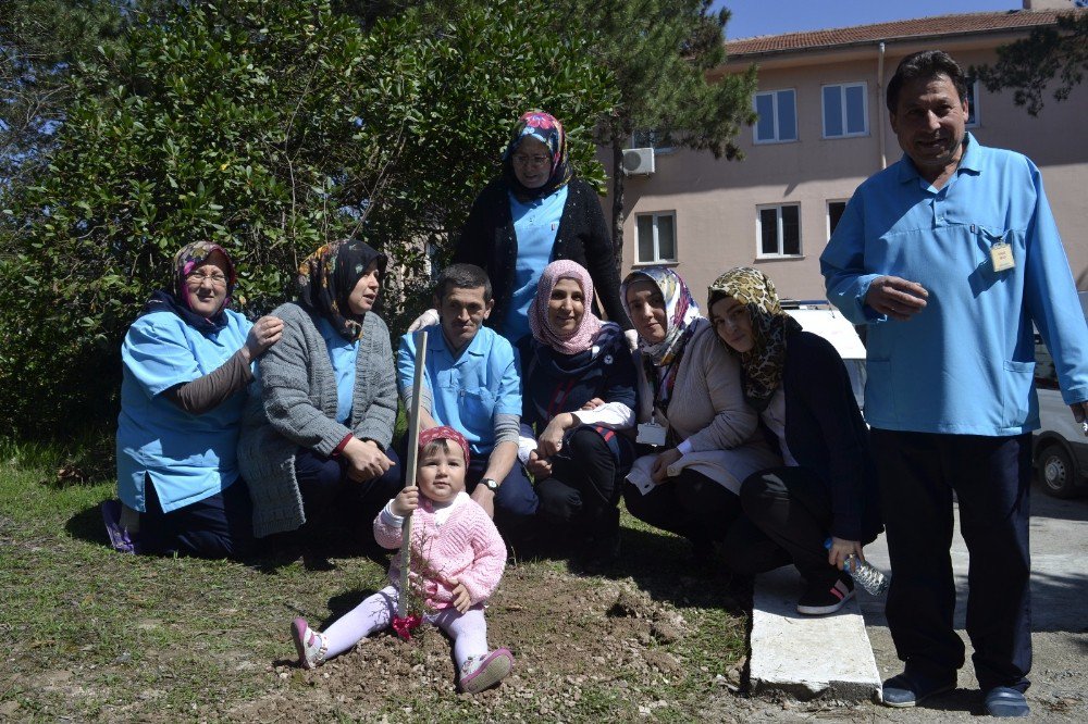 Öğrenciler Hastane Bahçesine Fidan Dikti