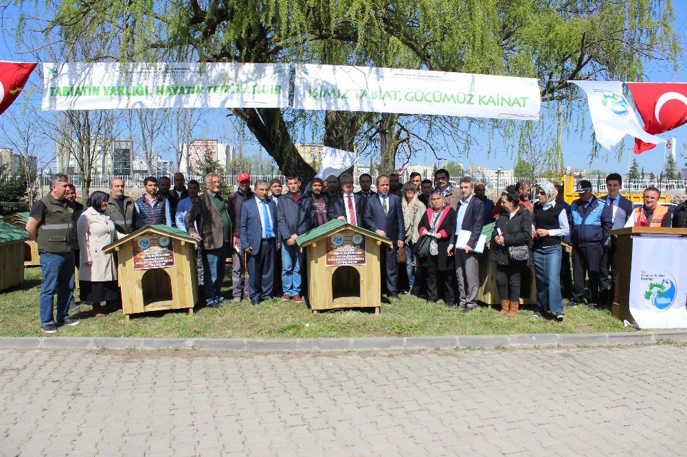 Tapulu Köpek Evleri Teslim Edildi