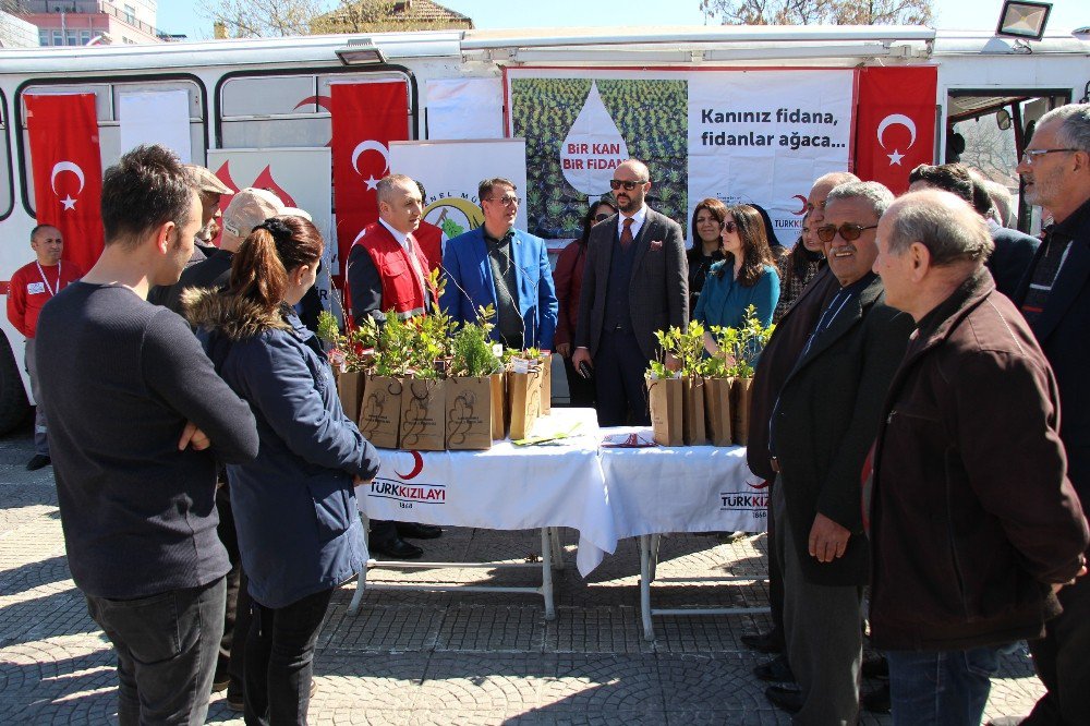 "Bir Kan Bir Fidan Projesi" Fidan Dağıtımı