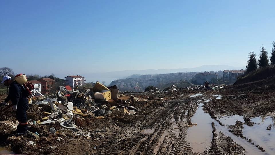 Akçakoca’da Sivrisinekle Mücadele Çalışması Başladı