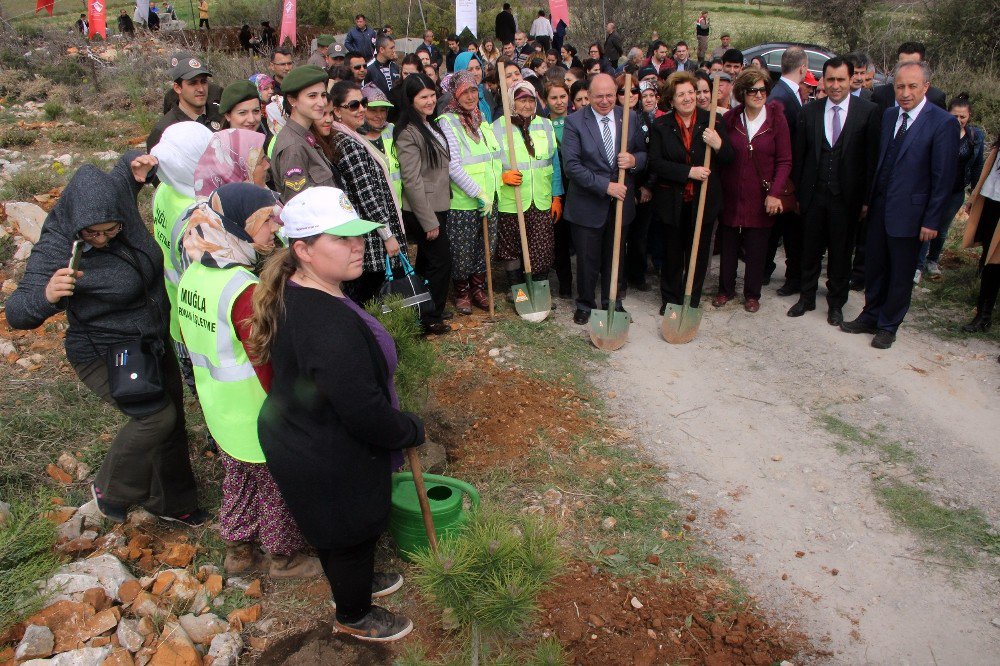 ‘Gönül Elçileri’nin Fidanları Toprakla Buluştu