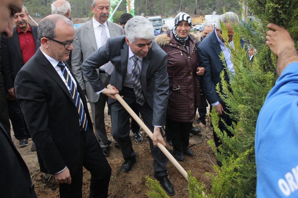 15 Temmuz Şehidi Adına Hatıra Ormanı