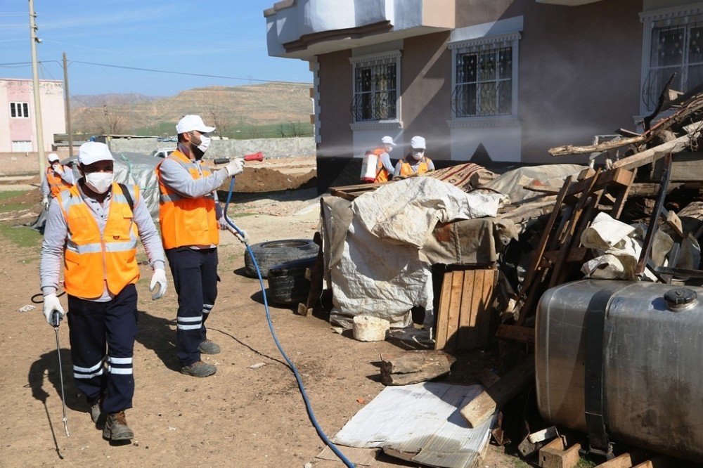 Cizre Belediyesi İlçe Genelinde İlaçlama Çalışması Başlattı