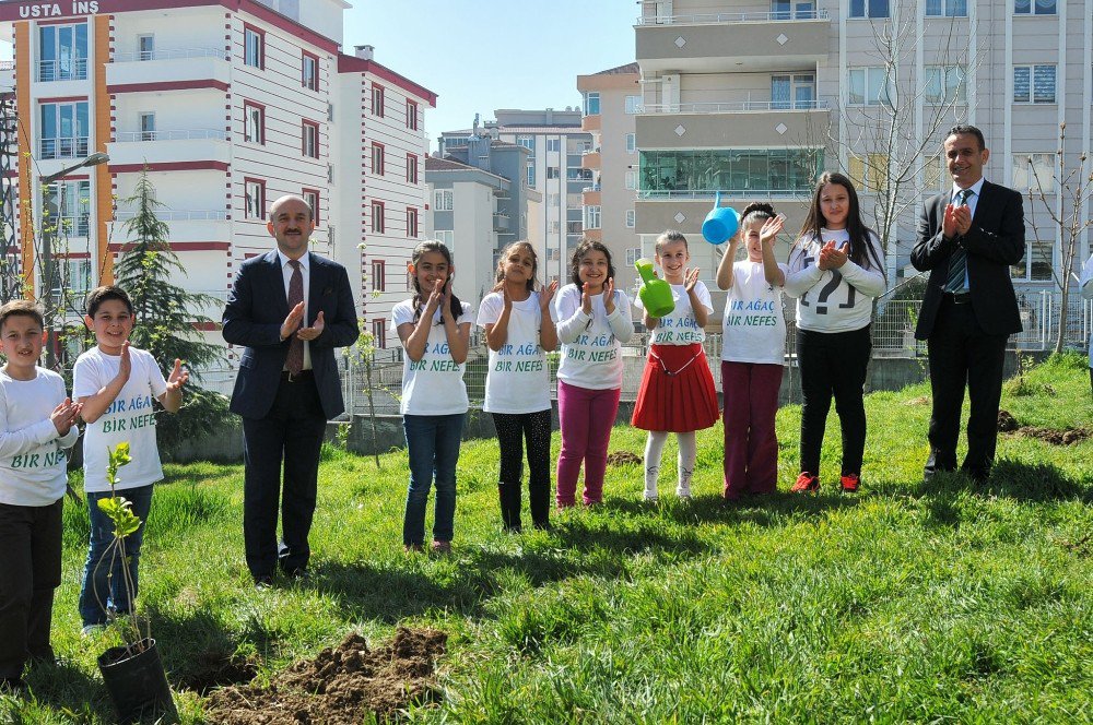 İlkadım’da Çocuklara Ağaç Sevgisi Aşılandı