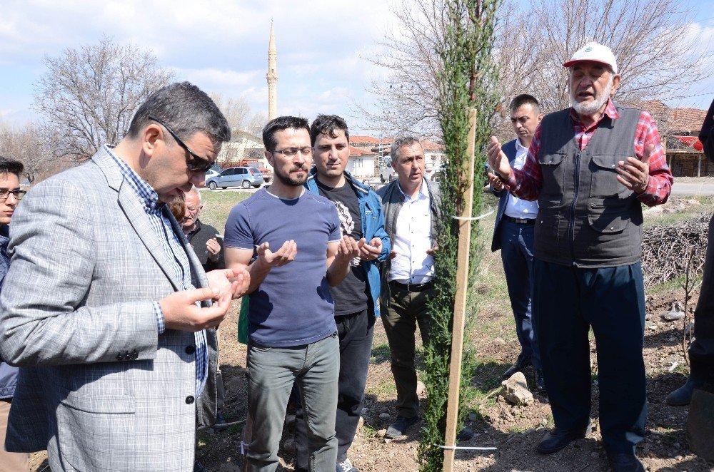 Şehitler Çam Fidanlarında Yaşayacak