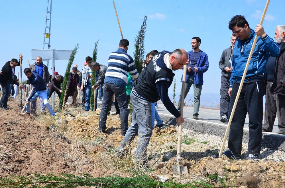 Şehitler Çam Fidanlarında Yaşayacak