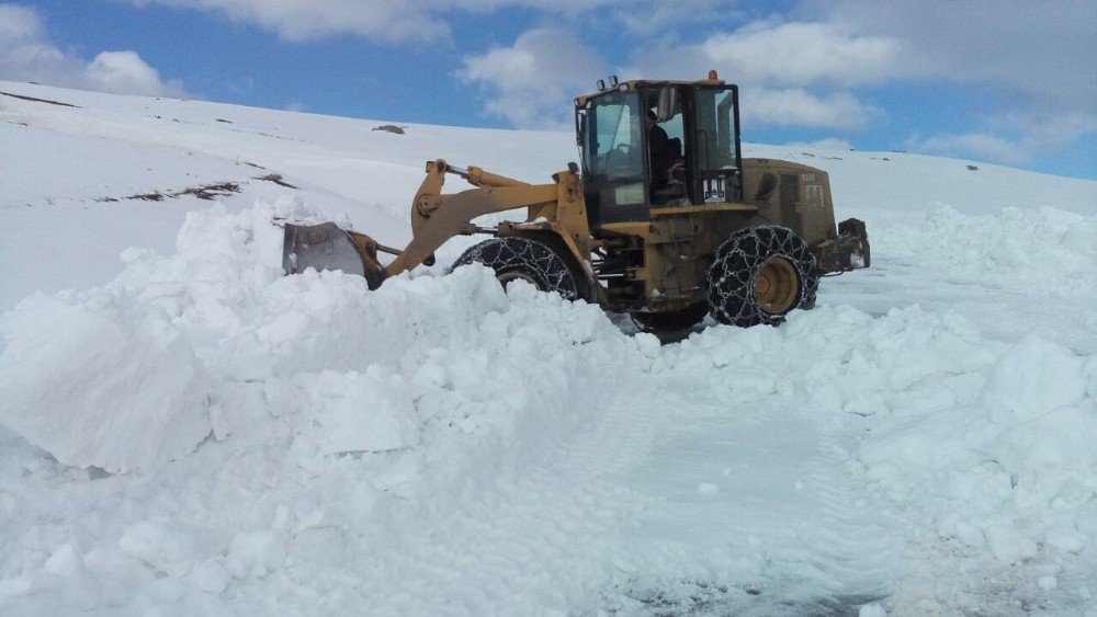 Kardan Kapanan Erzurum - Tekman Yolu Açılıyor