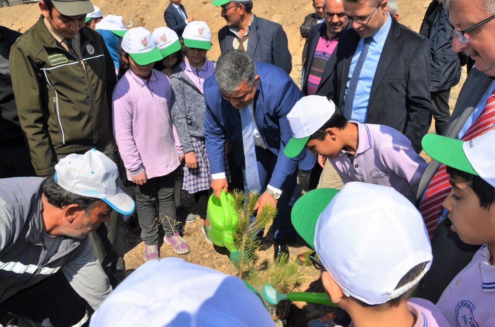 Başkan Özgüven: “Orman Varlığı Milli Servetimizdir”