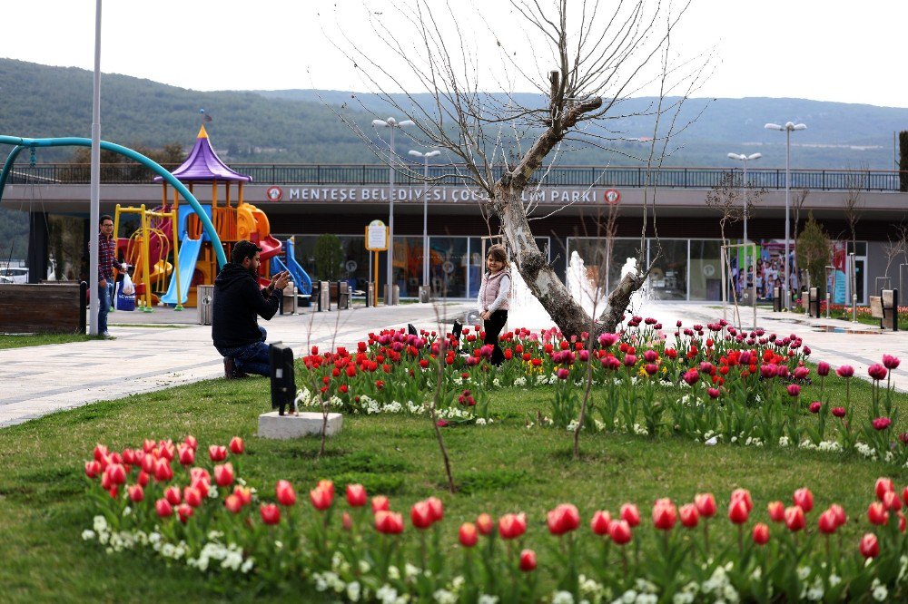 Menteşe ‘Lale’ Açtı