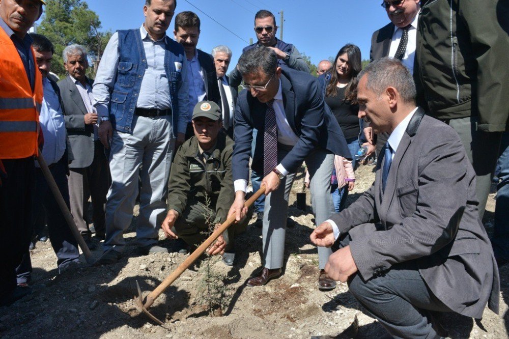 Erdemli’de 15 Temmuz Şehitleri Anısına Hatıra Ormanı