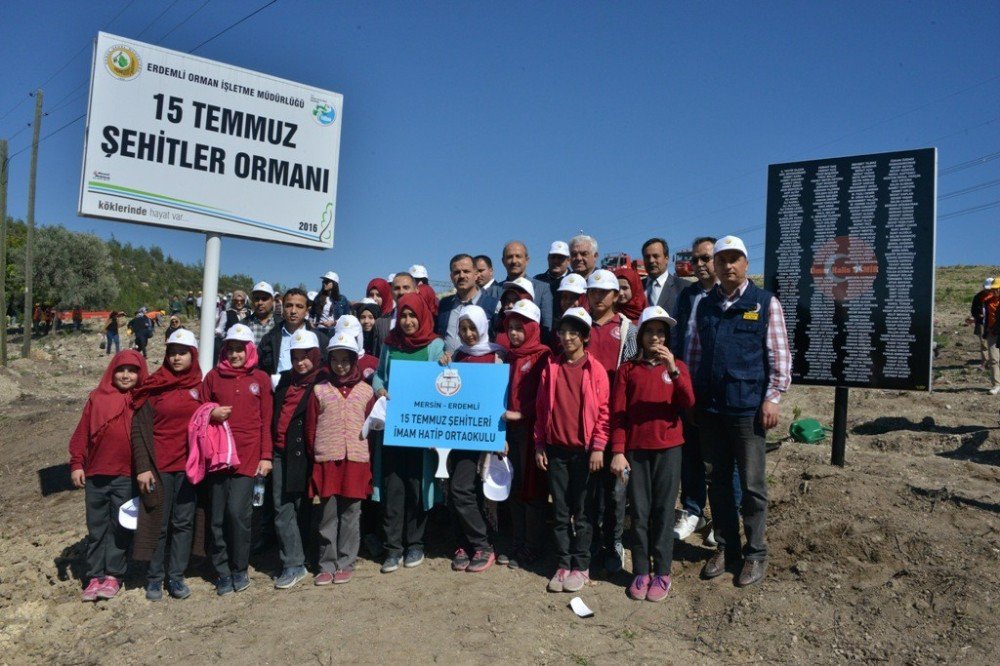 Erdemli’de 15 Temmuz Şehitleri Anısına Hatıra Ormanı